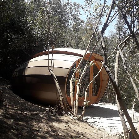 Biosfera Lodge Olmué Exterior foto
